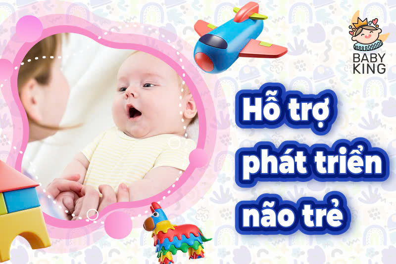 Hỗ trợ phát triển não trẻ